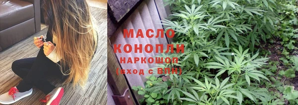 винт Абаза