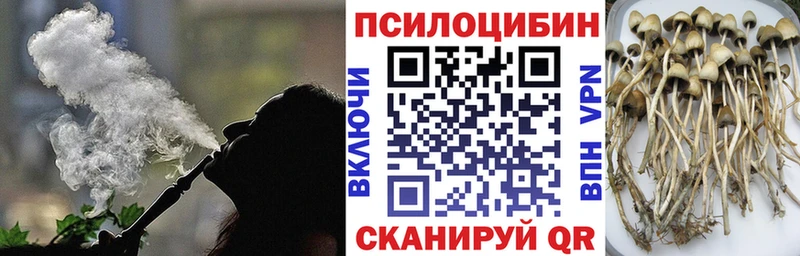 даркнет сайт Иваново Псилоцибиновые грибы Psilocybe